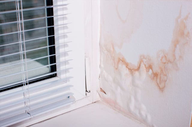 ¿Cómo eliminar la humedad de las paredes?