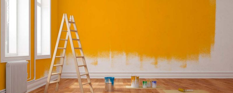 Compra Pintura para Casa: Consejos para escoger los mejores colores